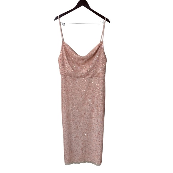 NWOT Anthropologie Forever That Girl Dunne Beaded Midi Dress Blush Pink Size 14 - Picture 2 of 9